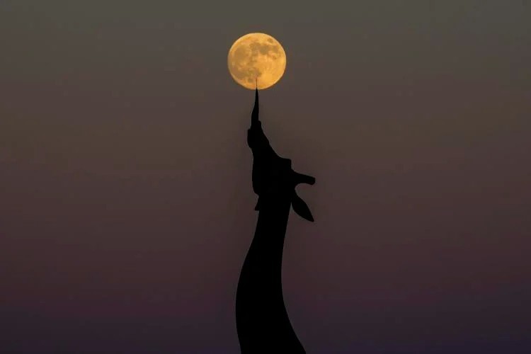 Supermoon picture at Dallas Zoo