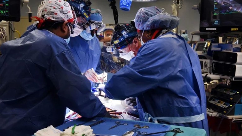 US surgeons mark achievement as pig kidney survives in human over a month