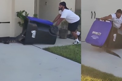 WATCH: Man captures crocodile using a dustbin