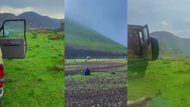 VIDEO: Saudi Arabian desert turns green after showers