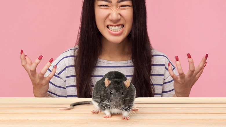 Chinese student catches, bites mouse after it bit her hand
