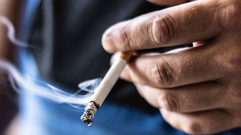 Smoking linked to belly fat, increased risk of heart disease: study