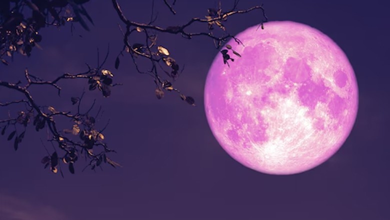 'Pink moon' to illuminate night sky on April 23