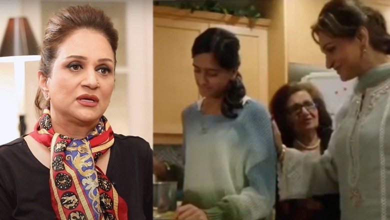Bushra Ansari faces criticism for LGBTQ pro int'l web series