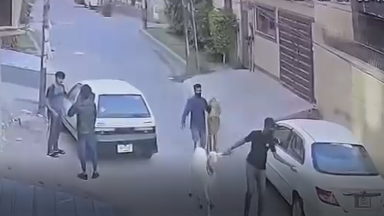 Watch: Robbers snatch sacrificial goats from boy in Lahore