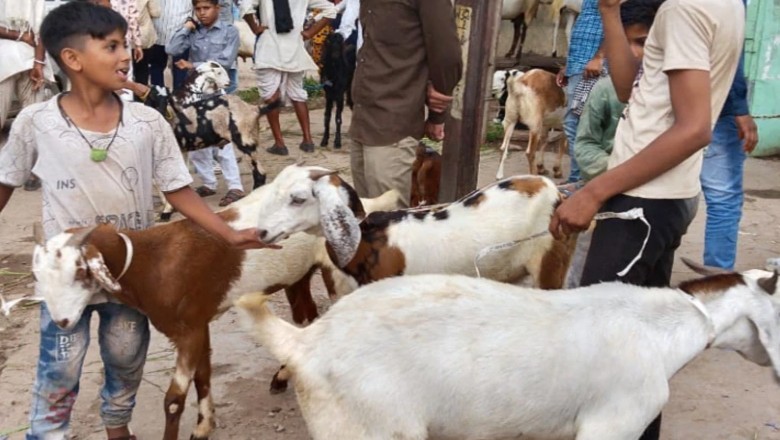 Orphaned children in Sindh to get "free sacrificial goats" for Eid-ul-Adha