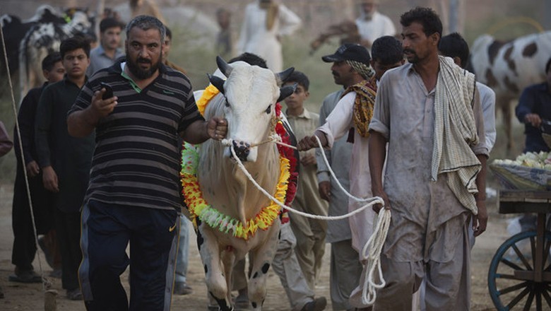 Butchers set cow, bull slaughtering rate at Rs20,000 for Eid-ul-Adha 2024