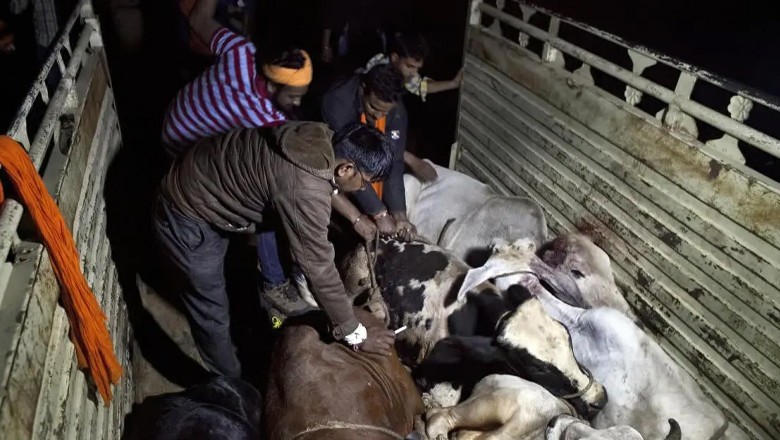Two Muslim men lynched by cow vigilantes in India