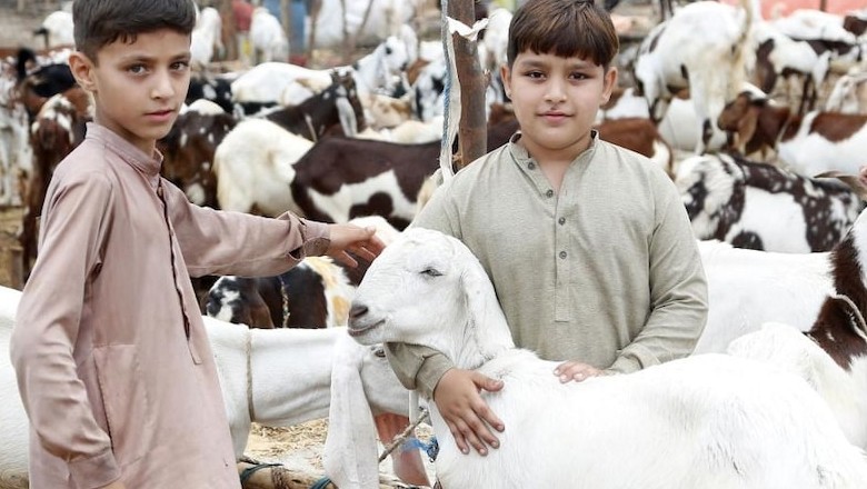 Sindh announces public holidays for Eid-ul-Adha