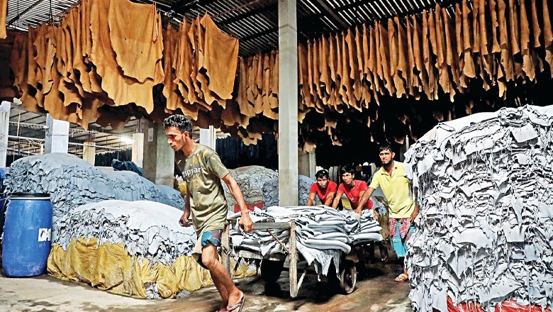 Pakistan's leather industry records drop in hide prices