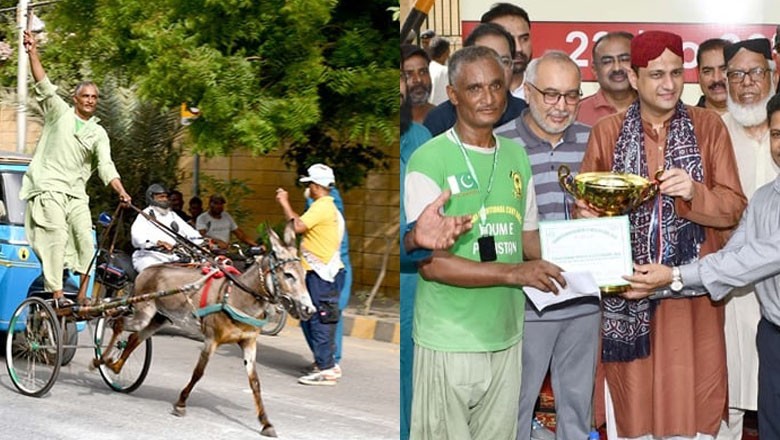 Animal cruelty: Karachi authorities slammed for hosting 'donkey cart race'