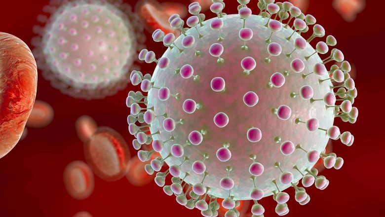 Researchers confirm presence of 'Zika virus' in Karachi