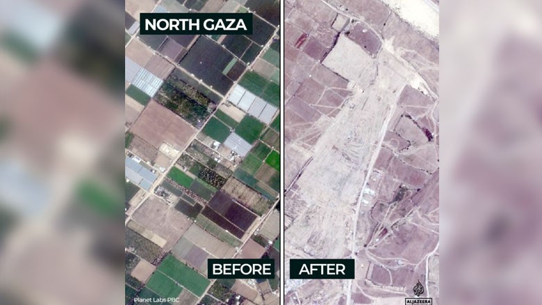 Gaza's fields lie barren as Israeli attacks devastate agricultural land