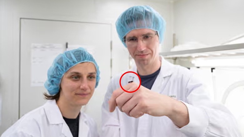 Australian scientists create super flies to eat trash and save the planet