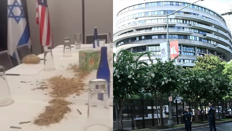 Pro-Palestine protesters release bugs at hotel where Netanyahu is staying during US visit