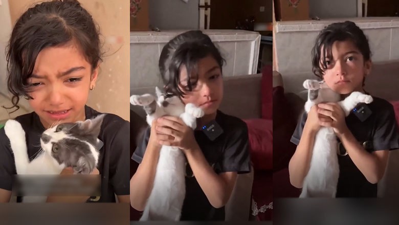 Teary-eyed Palestinian girl finds her kittens alive under rubble of demolished home