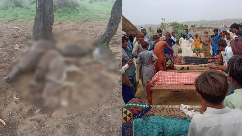 Lightning strike kills six people and six donkeys in Tharparkar