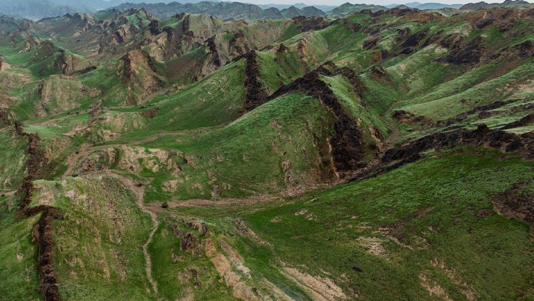 Mountains in Makkah turn lush green after heavy rainfall