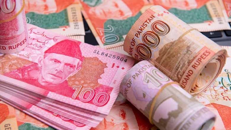 Delay in IMF's bailout programme may devalue Pakistani rupee: report