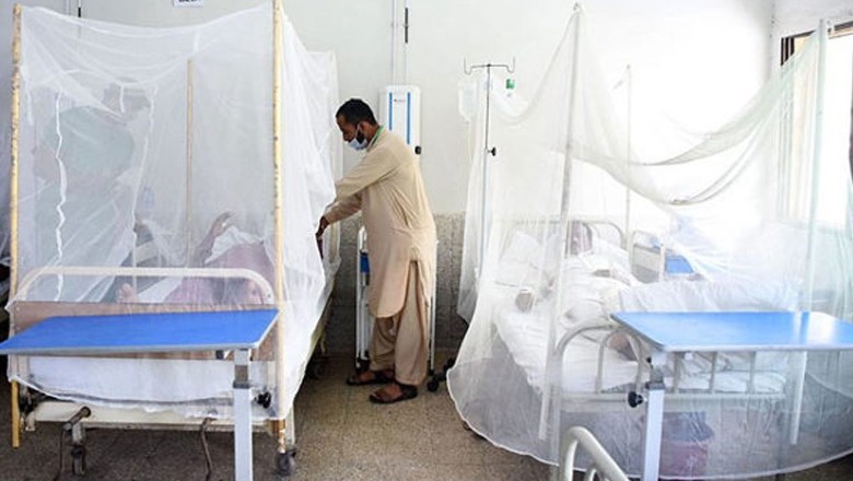 Dengue, chikungunya cases surge in Karachi