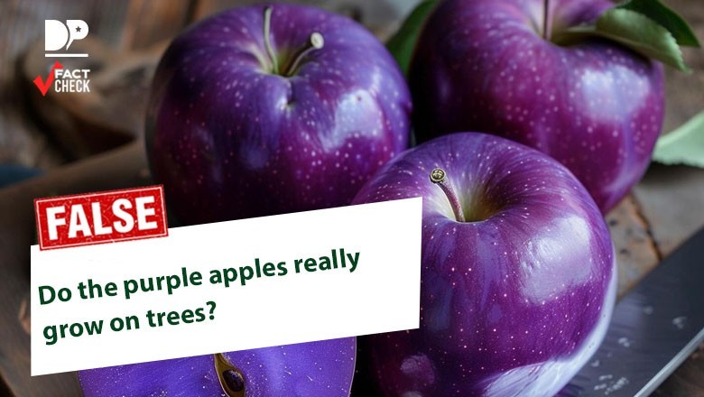 What's behind the mysterious pictures of purple apples?