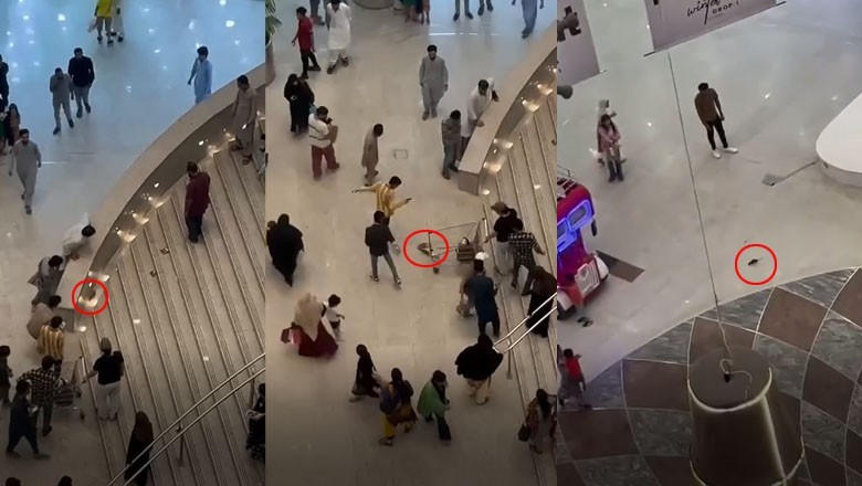 Watch: Karachi mall erupts into chaos as rodent runs wild