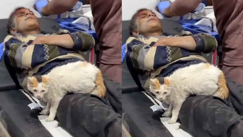 Injured Palestinian child cannot be separated from his cat