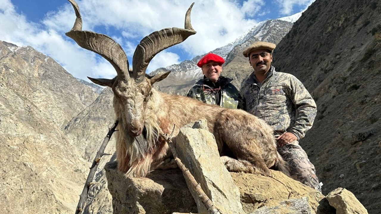 GB trophy hunting: Astore markhor permits sold for over $150,000