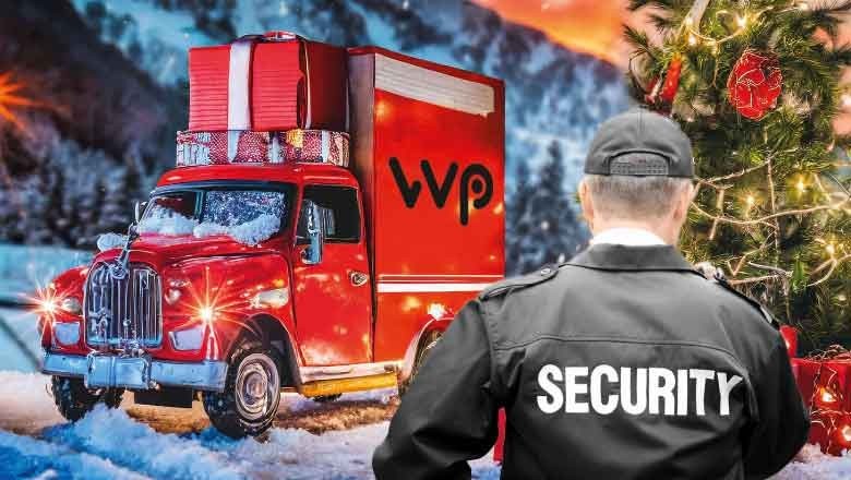 Sindh Rangers, police to take strict action over aerial firing on New Year's eve