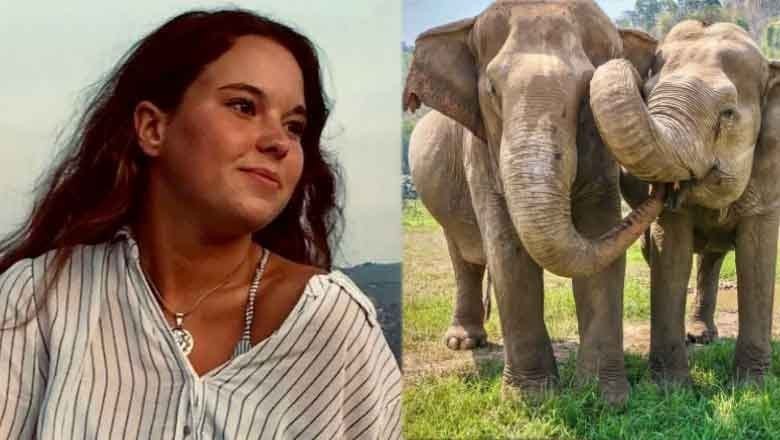 Tourist gored to death by elephant at Thai sanctuary